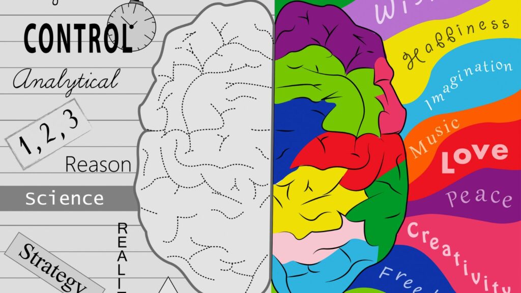 Diagram:zpiyzpai3s4= Brain